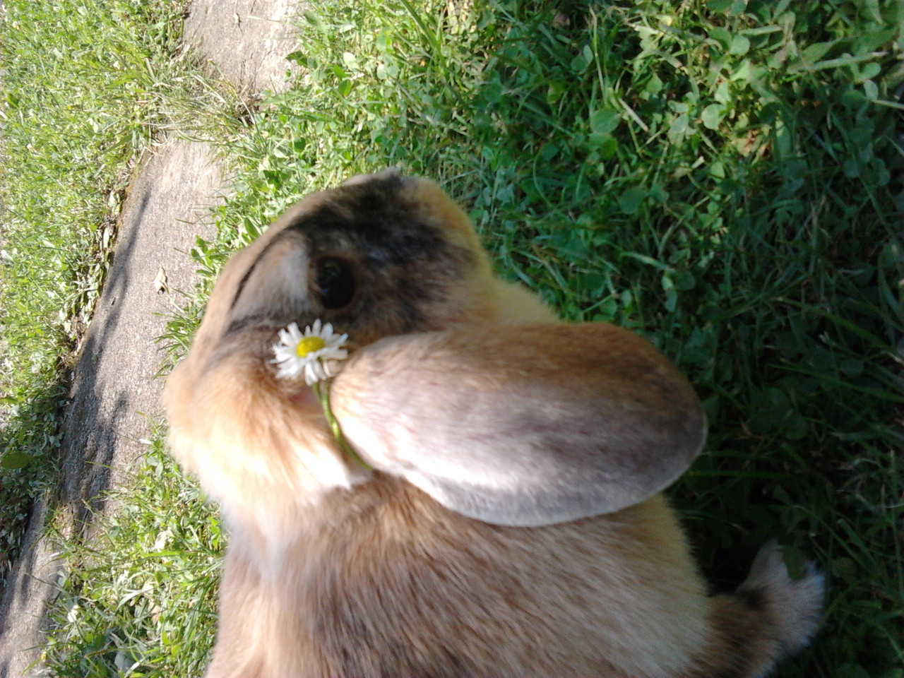 2012-07-06 13.00.12